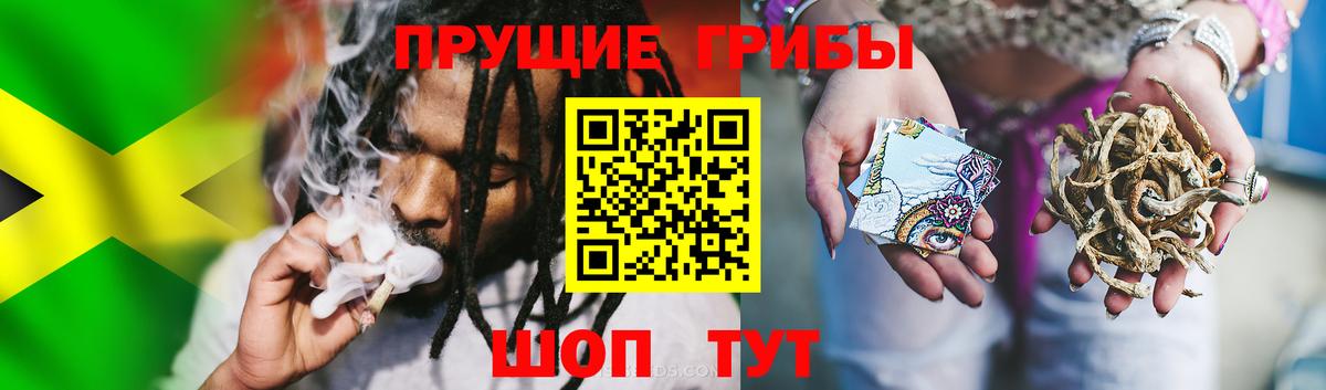 Псилоцибиновые грибы ЛСД Переславль-Залесский